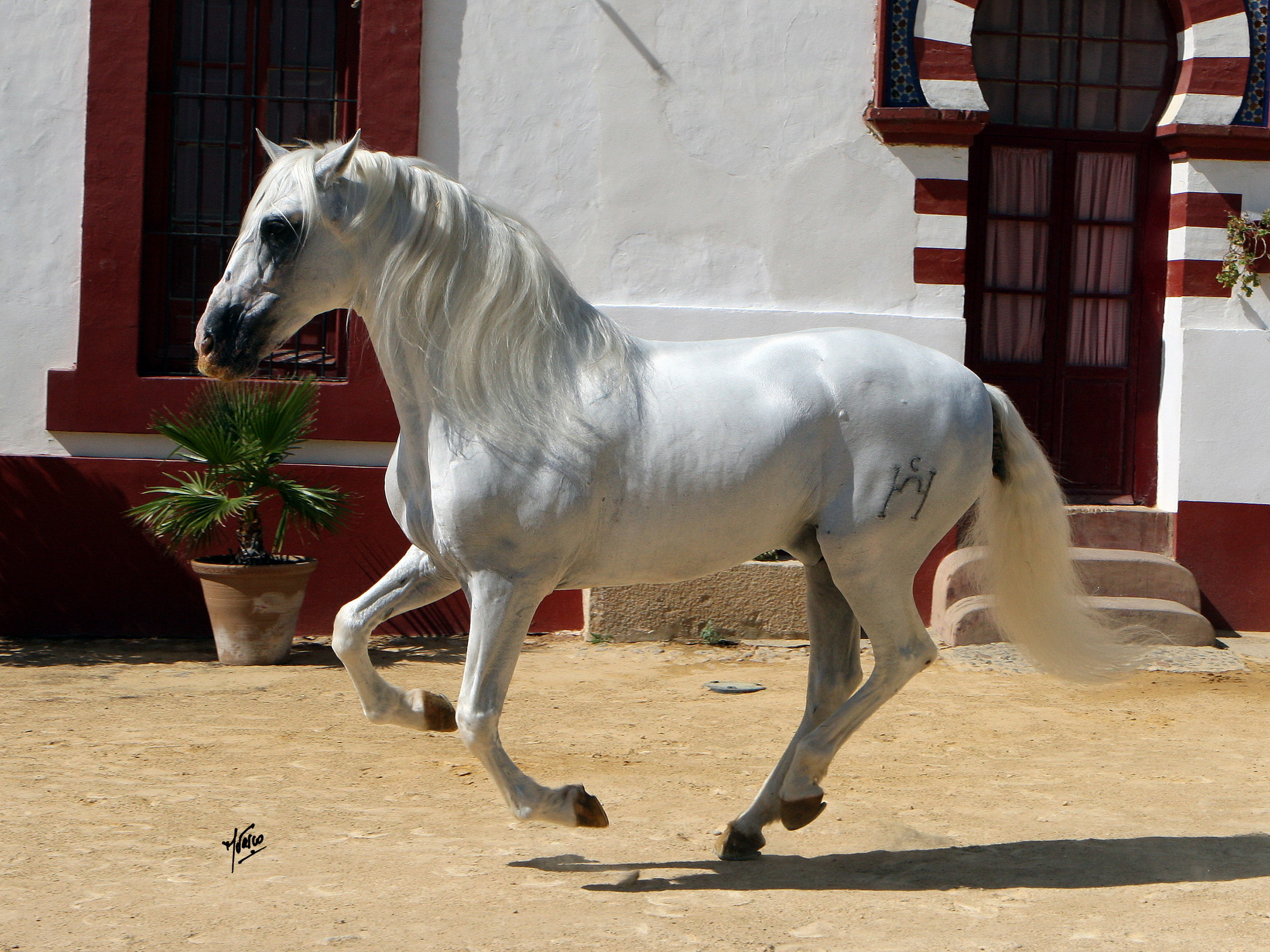 SICAB 2011